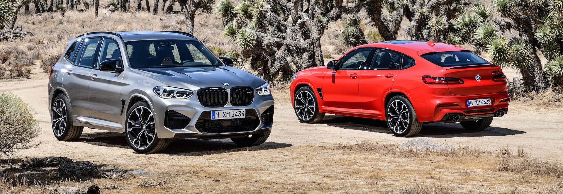 What to expect from BMW in 2019 - What is getting electrified? 